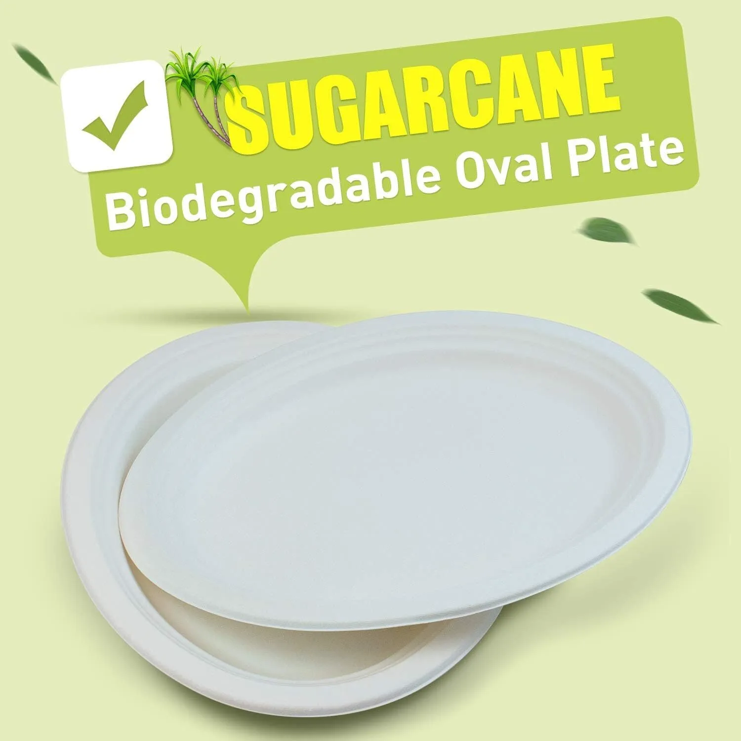 600pcs Disposable Sugarcane Bagasse Oval Plates - 26cm x 20cm - Bulk (12 packs of 50)